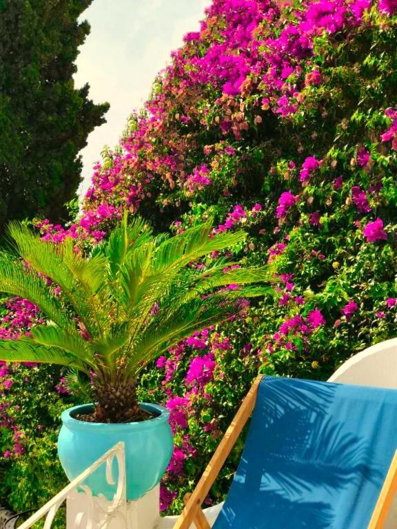 Les Lilas Aparthotel *